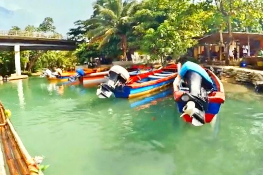 La Rosa With Spectacular View Of Ocho Rios