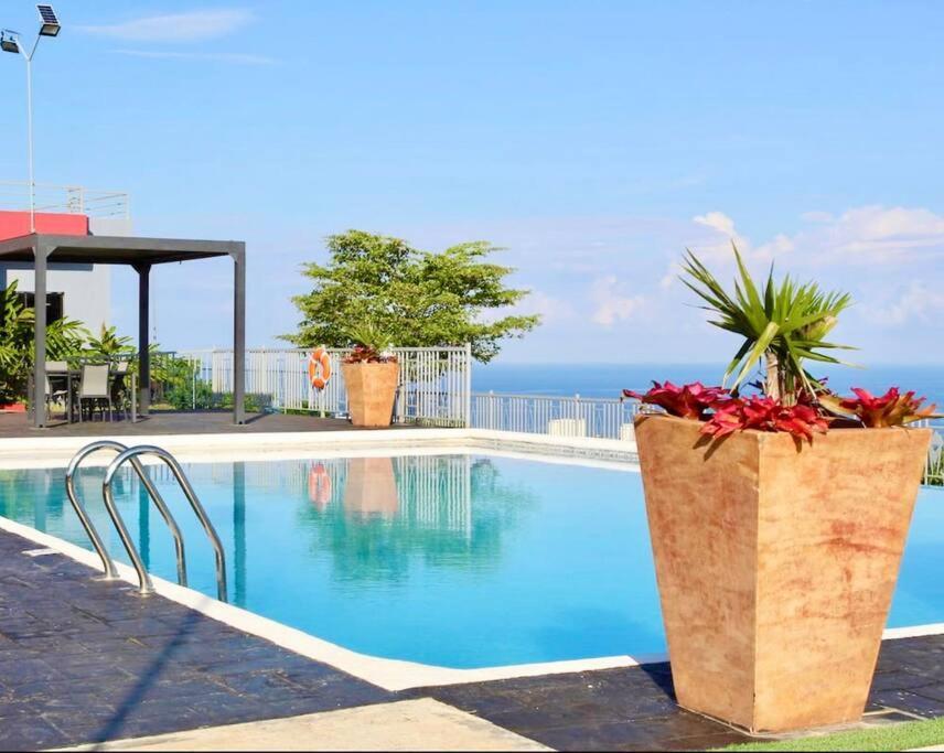 La Rosa With Spectacular View Of Ocho Rios